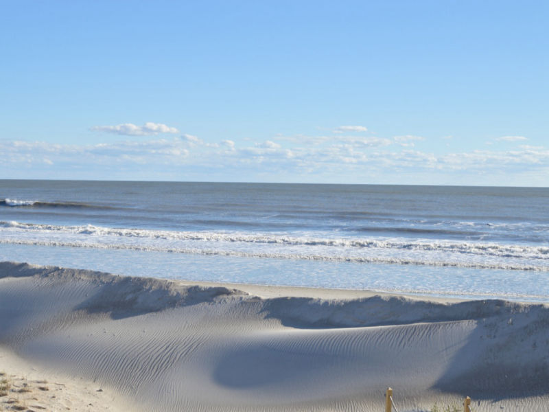 Natural dune path toward the beach