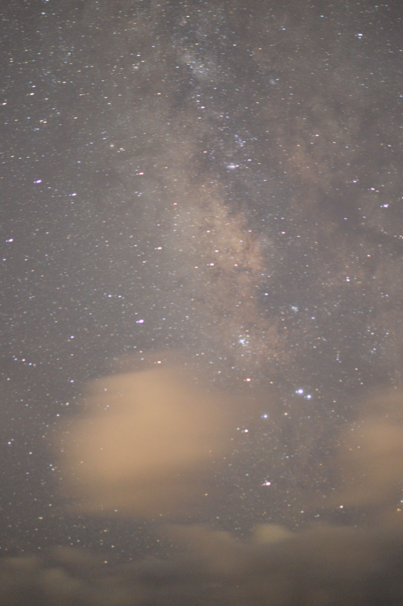 Star-filled sky above the shoreline
