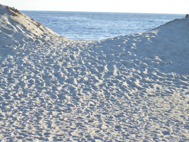 Dune-lined approach to the beach