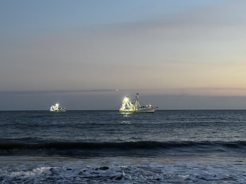 Ships on the ocean horizon in morning light