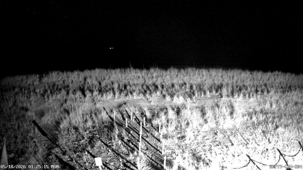 Oak Island live beach webcam